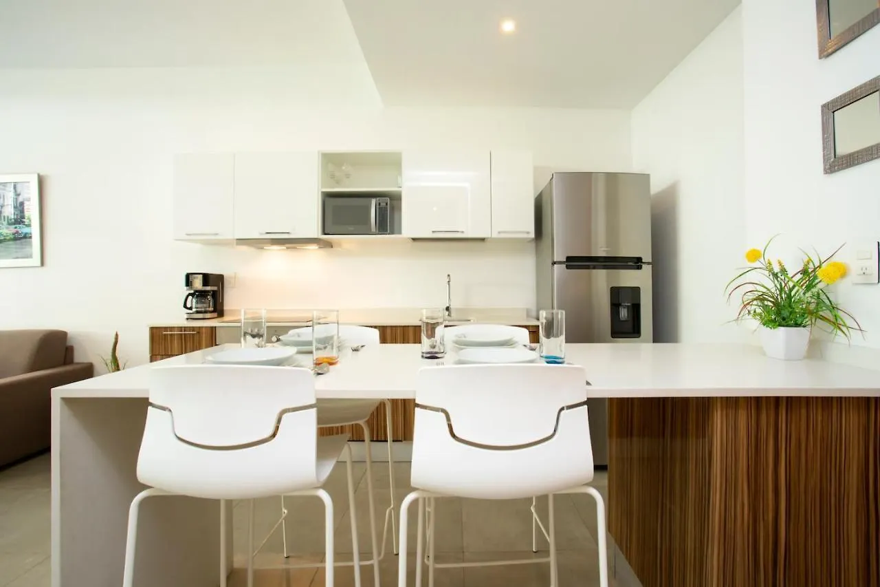 דירה פלאייה דל כרמן Lovely One Bedroom With Amazing Terrace View